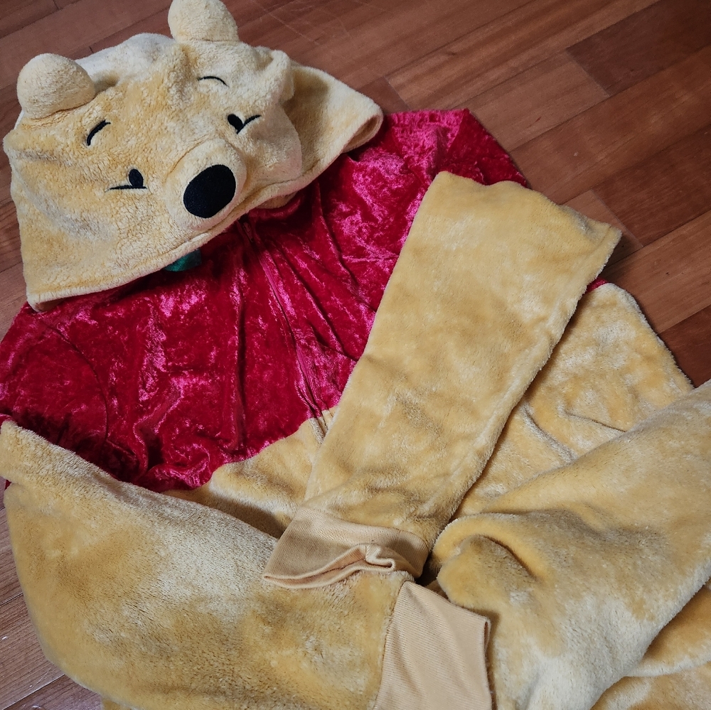 Adult Winnie the pooh